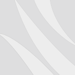 Stagiul International de Arbitraj, Budapesta, 13-15 februarie 2015